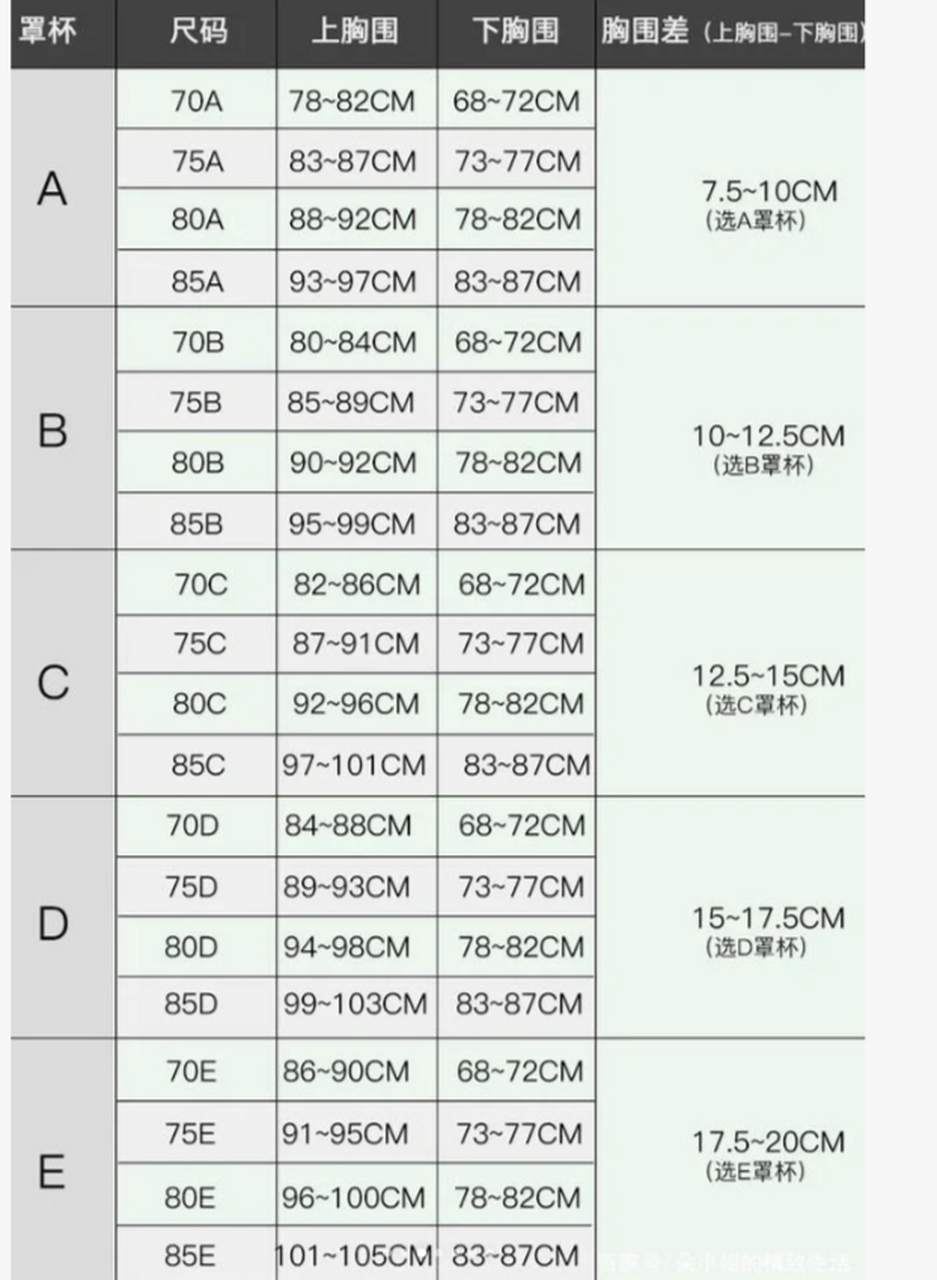 胸围和罩杯对应图片