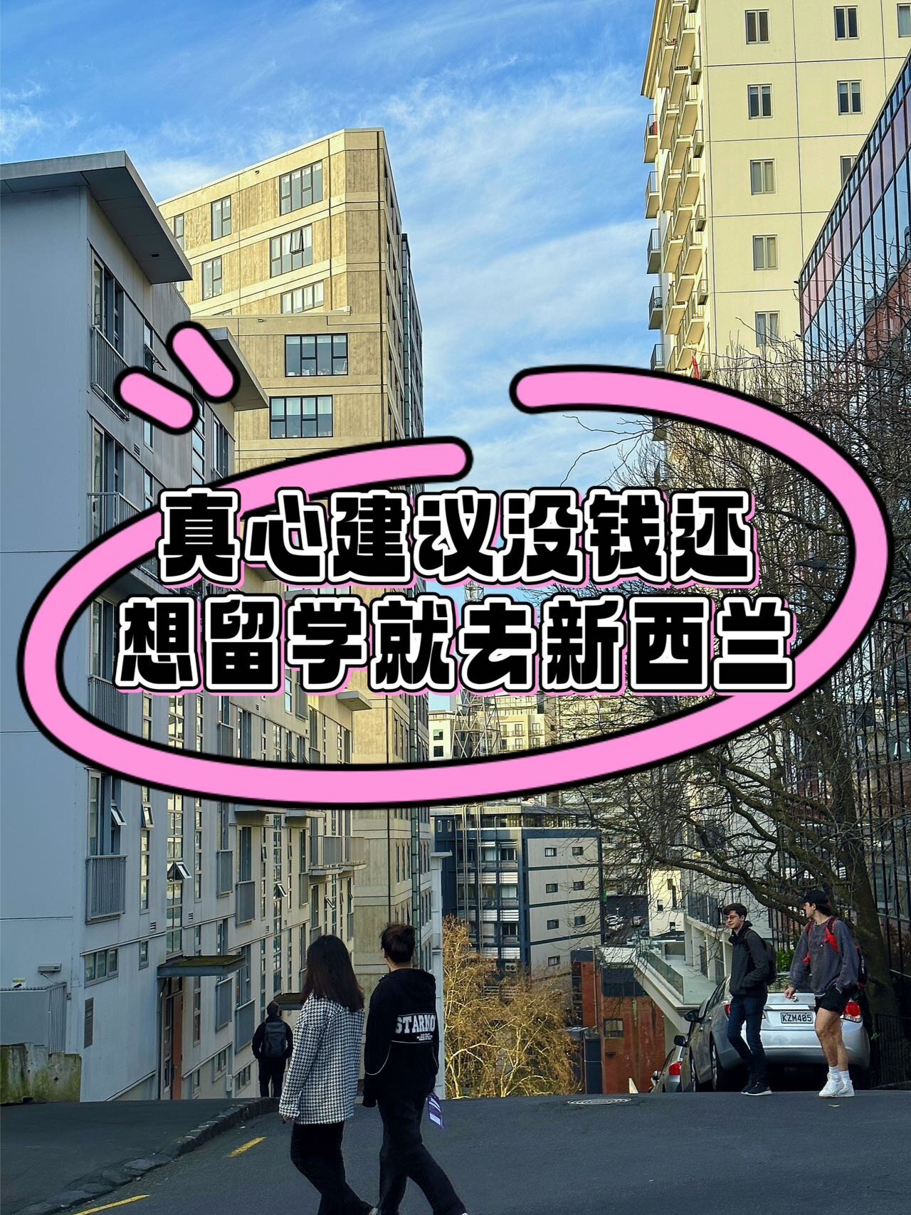 新西兰留学多少钱(新西兰留学一年费用)