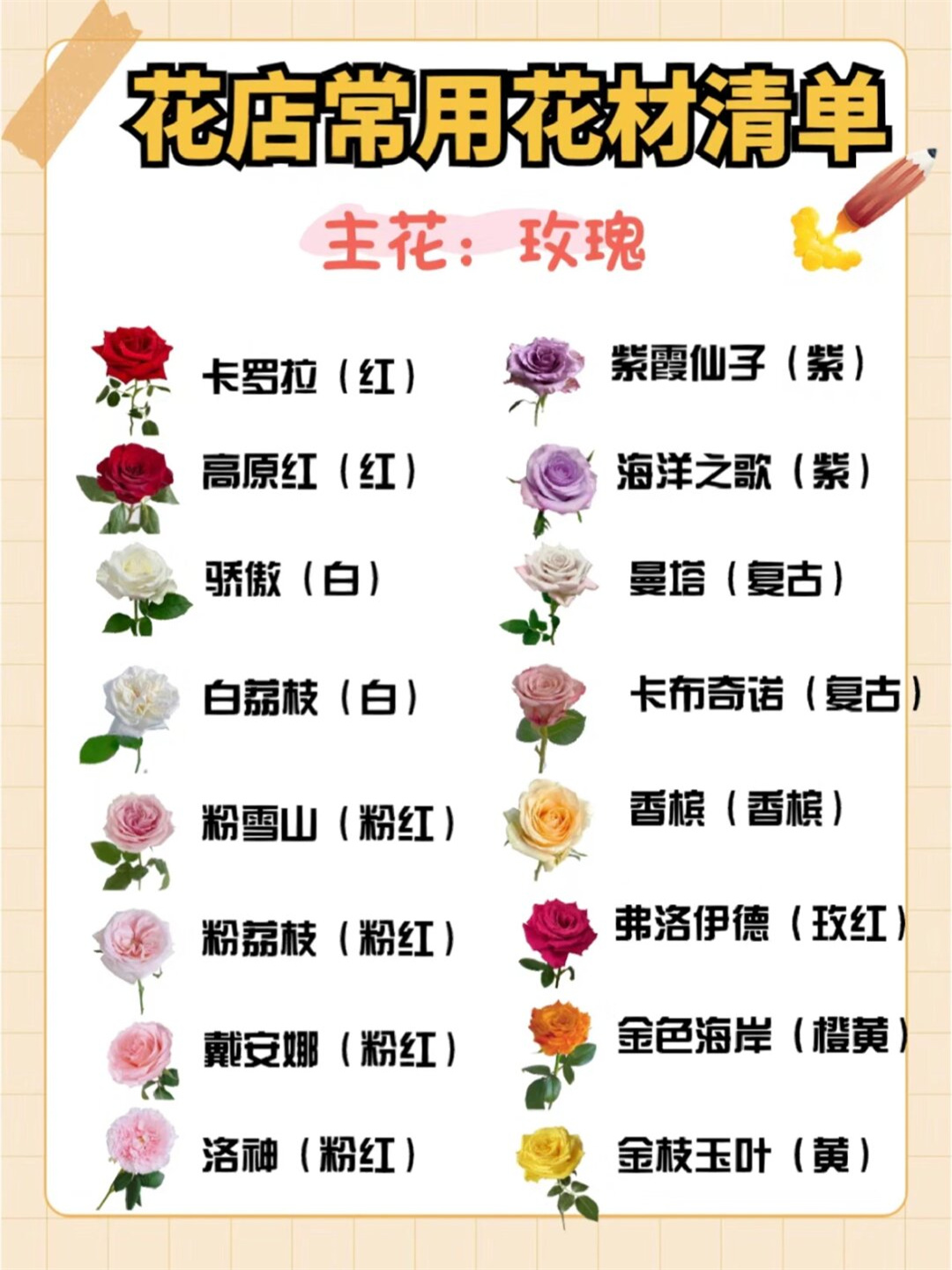 花店常用花材清单