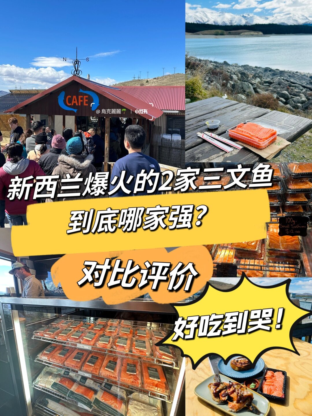 在众多出名的三文鱼店中我对比了「mt cook alpine salmon shop」