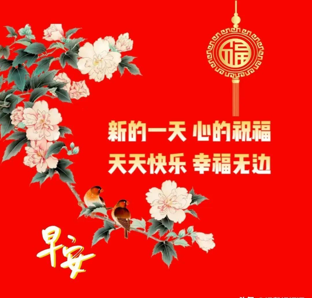 最新精美的早上好祝福语图片大全 今日精选早安问候祝福图片带字