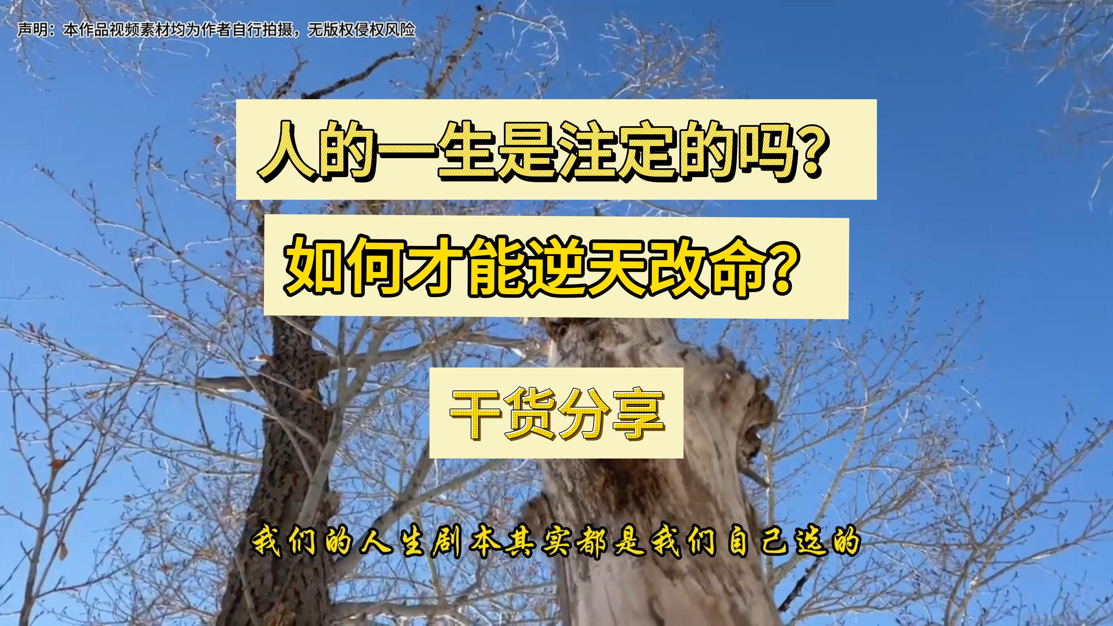 如何才能逆天改命?干货分享