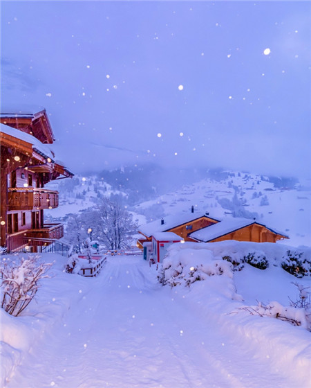 凄美图片雪景图片