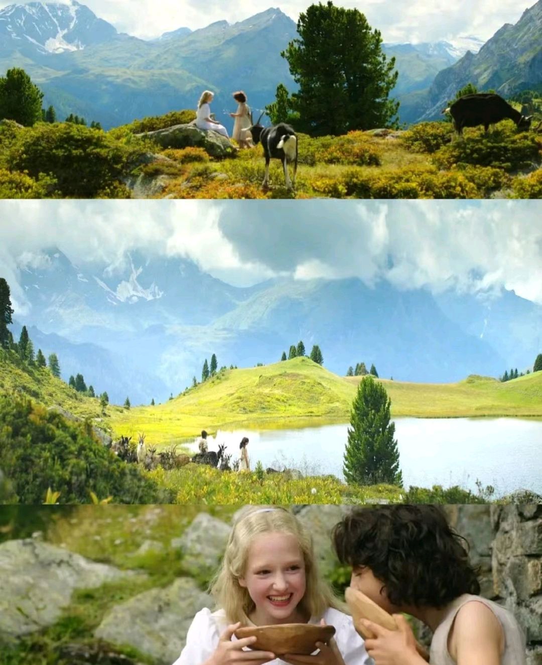 《海蒂和爷爷》:最冷不过人心,最暖不过人心