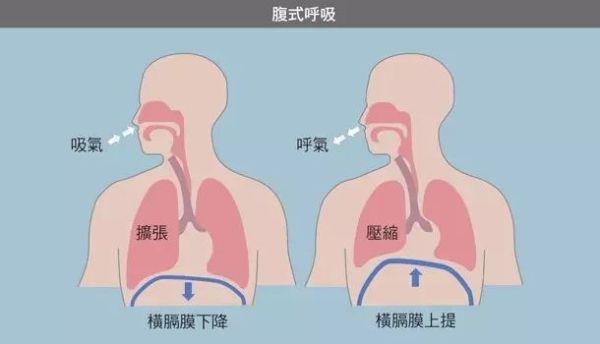 人体吸气时图片