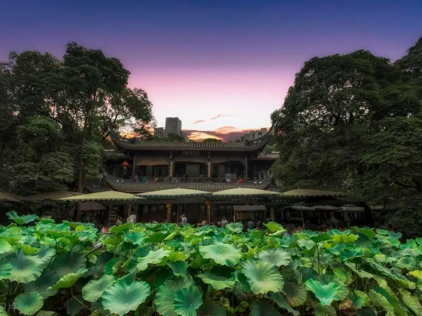 记录我的城市吧#成都人民公园,原名少城公园,位于成都市区祠堂街少城