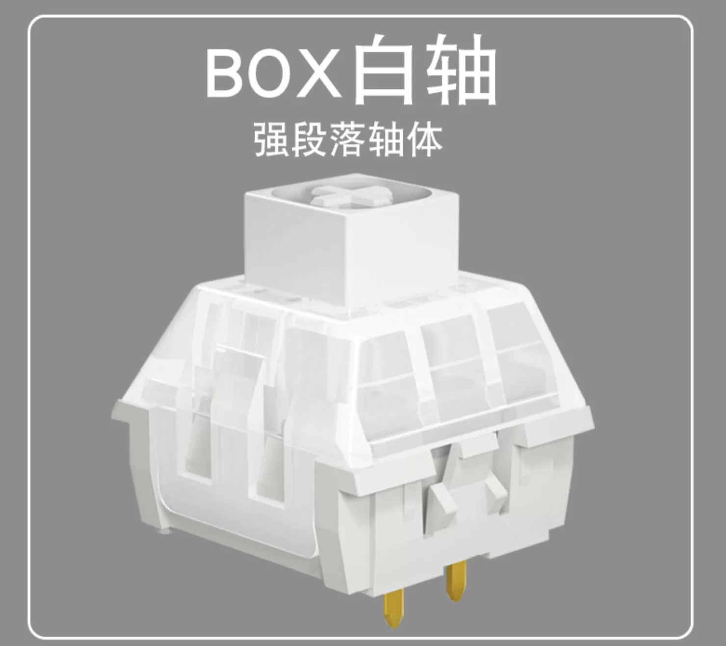 凯华box白轴详细参数