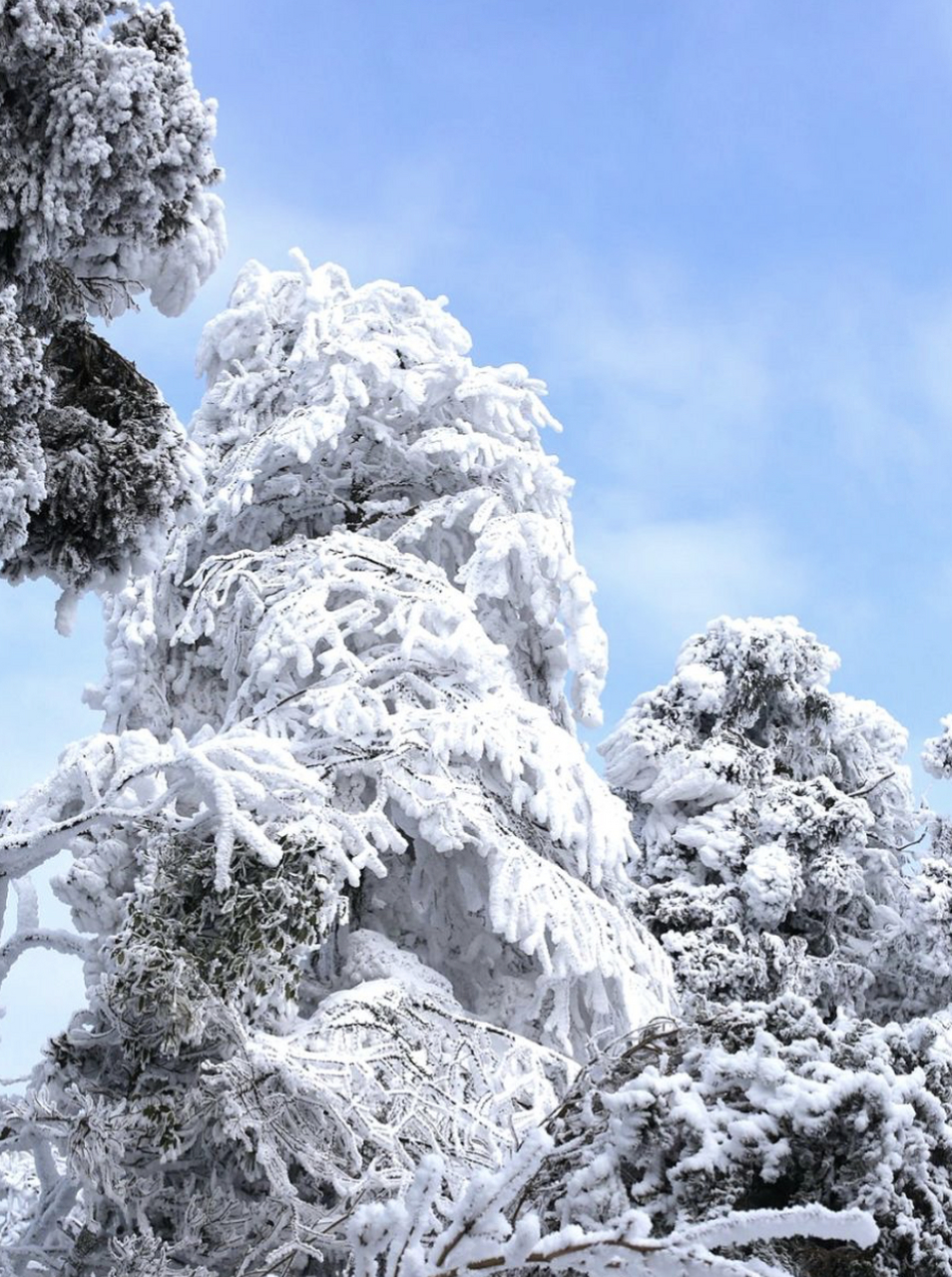 2022年南岳雪景图片