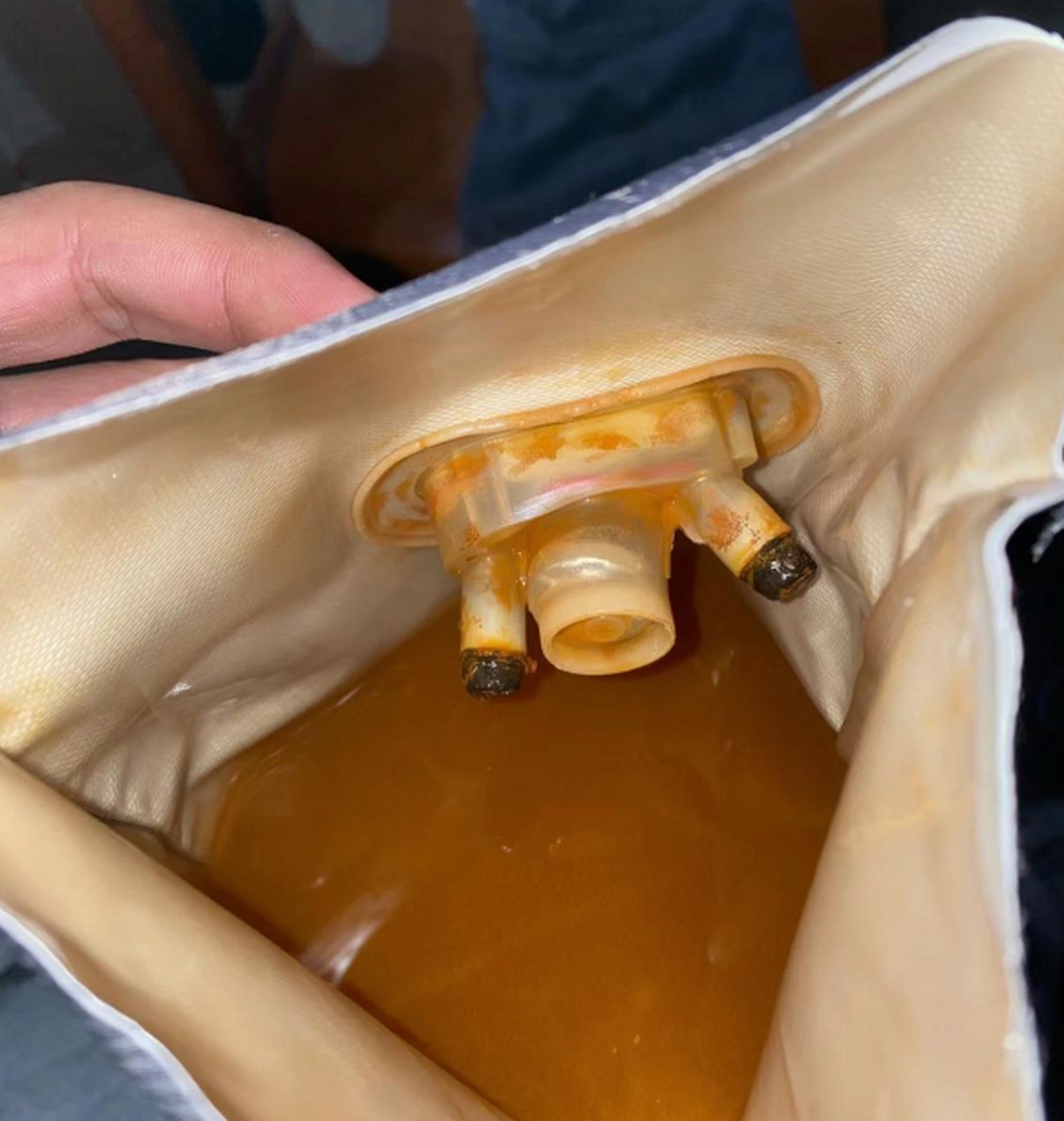 好奇心真的会害死猫,我剪开了热水袋,想看看里面装的是什么水,结果