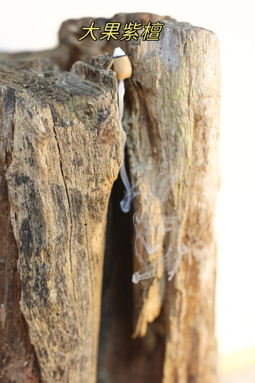 此外,大果紫檀还具