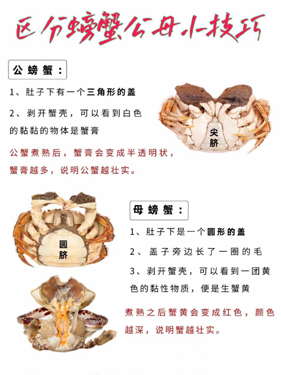 螃蟹哪些部位不能吃,如何分辨公母!