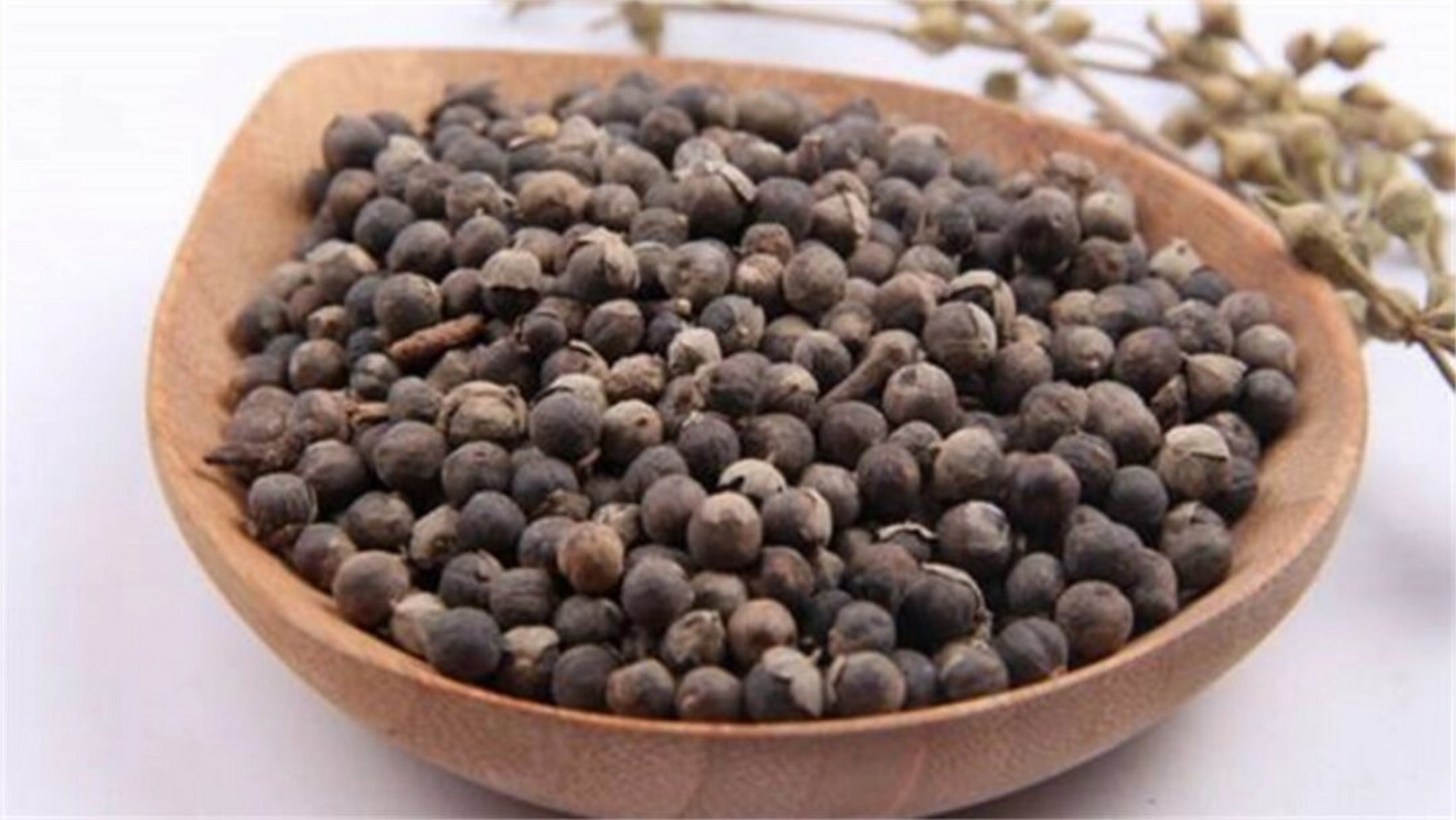 每天认识一种中药材61蔓荆子  蔓荆子是一种发散风热药,为马鞭草科