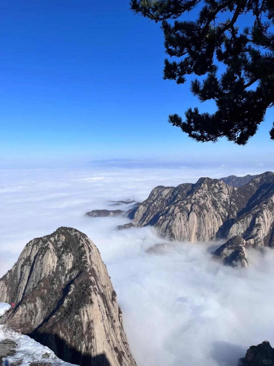 华山东峰景点图片图片