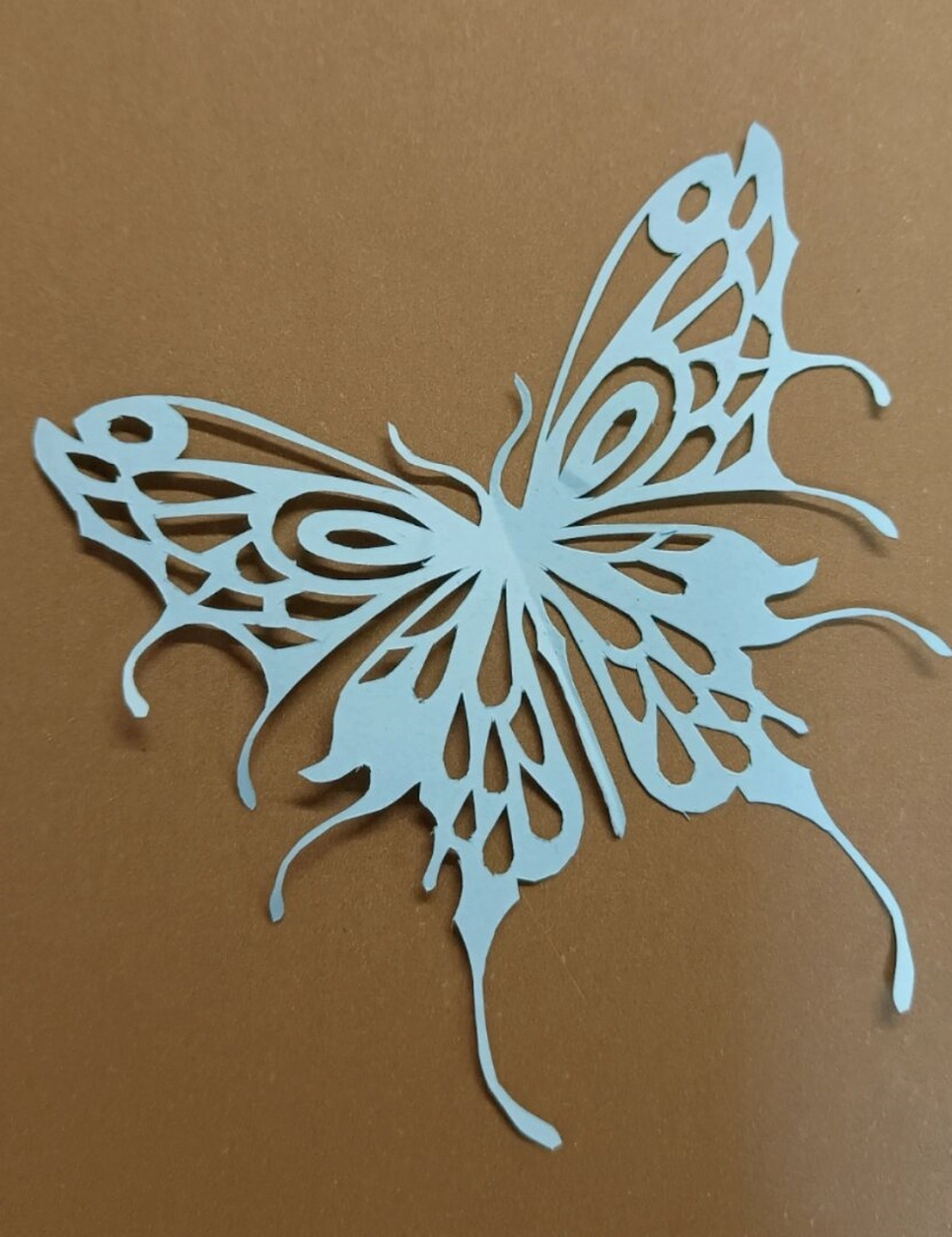 第38只蝴蝶  在这个过程中,我深刻地感受到了纸雕艺术的魅力.