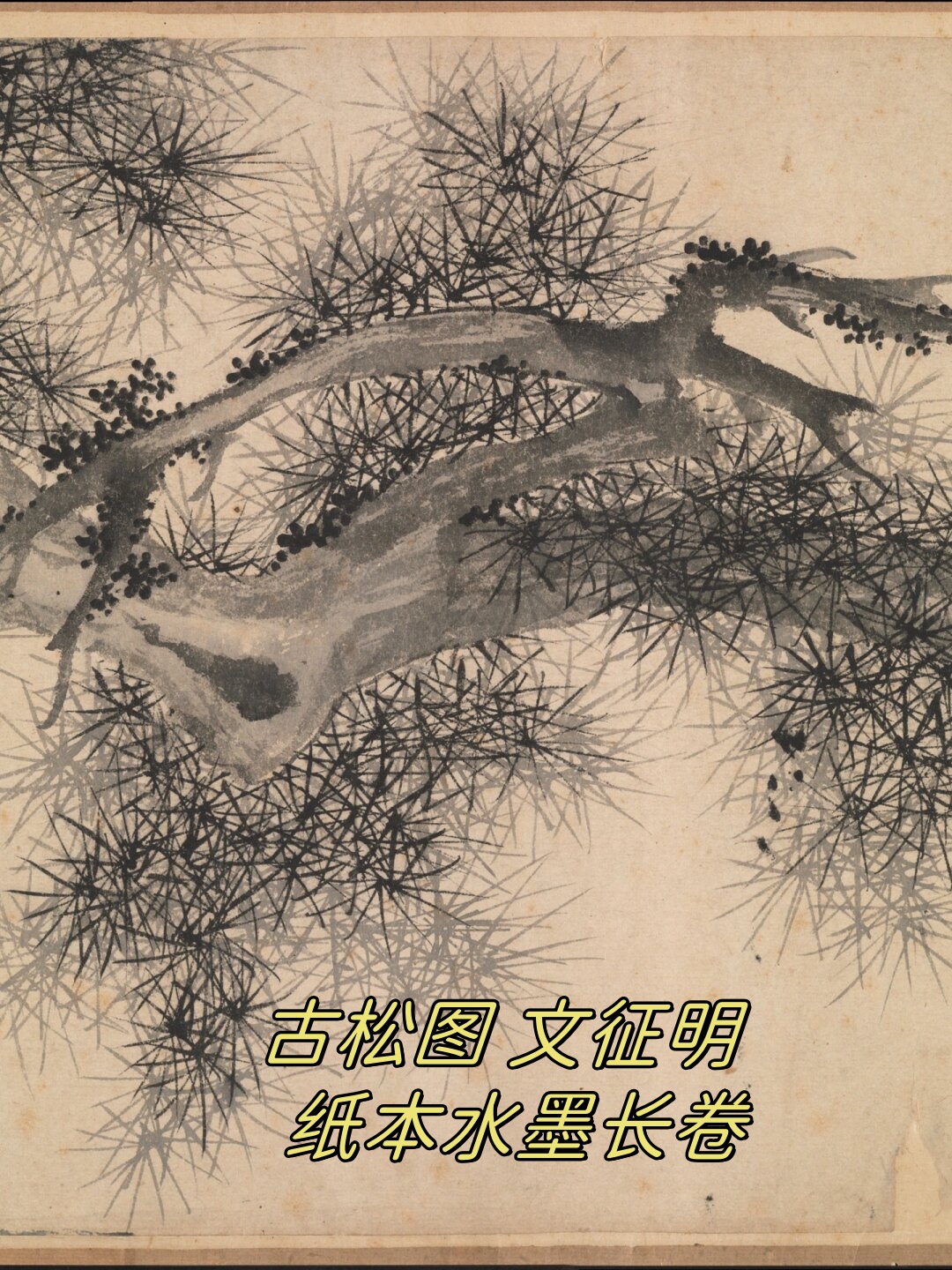 而在他的众多杰作中,《古松图》无疑是一颗璀璨的明珠,一幅纸本上的