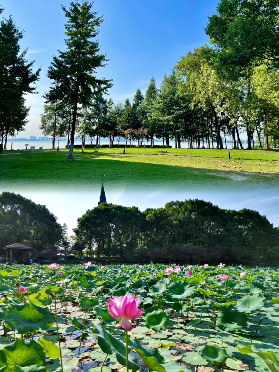 江浙沪之苏州露营地推荐:白鹭园  "营地条件大解析:  性质:这里是一片