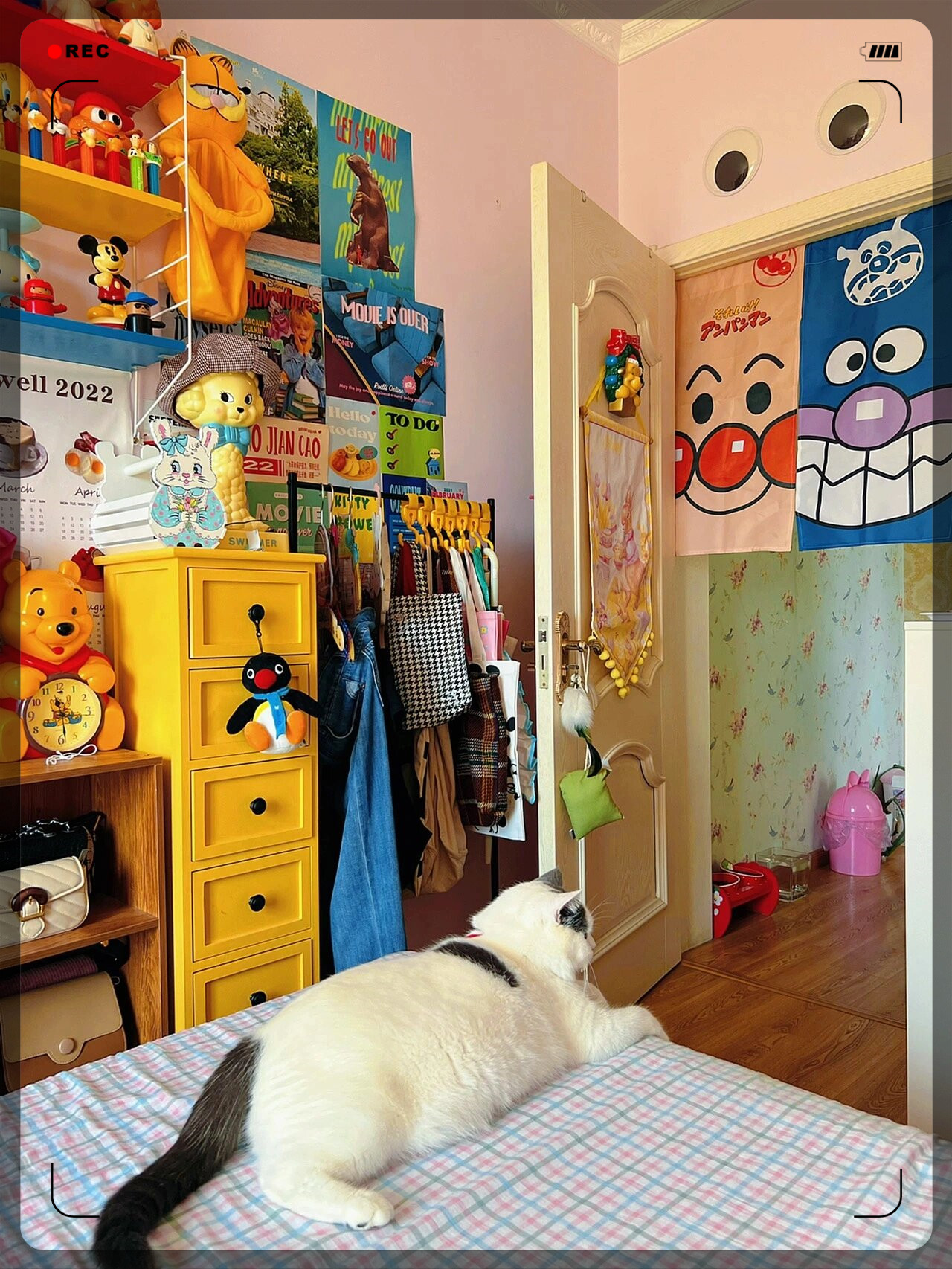 我仿佛置身于一个活生生的卡通动画片中,感受着那种奇妙的魔力