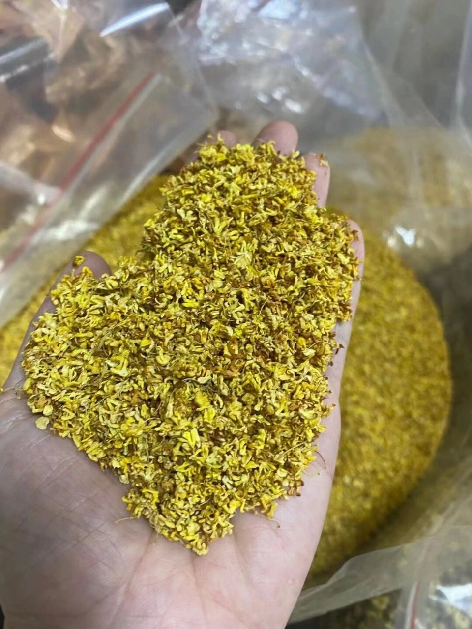 新品福利桂花香线香天然,保真