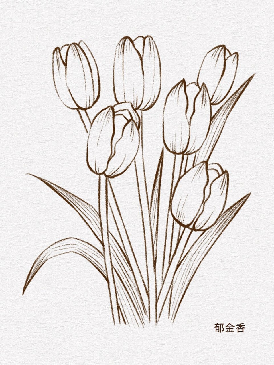 零基础学插画|花卉线稿小合集~  黑天鹅与花卉线稿合集  在艺术的世界