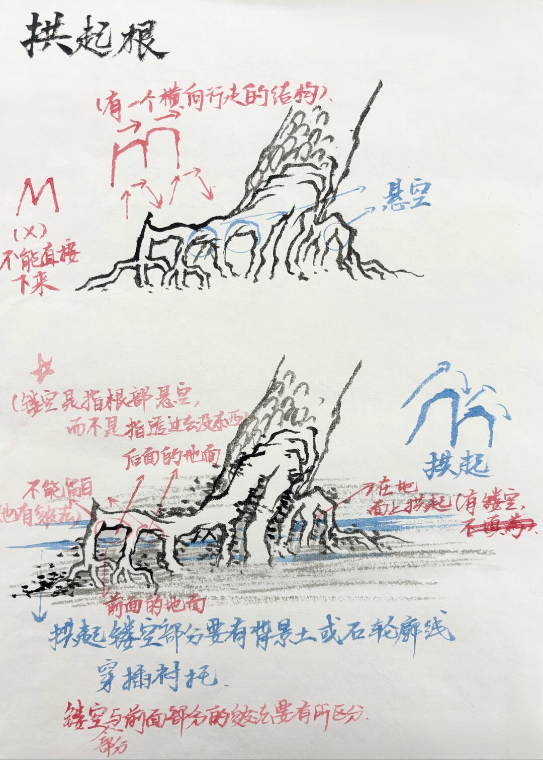 树根画法·造型篇 嗨,小伙.@画画大师舒窈的动态