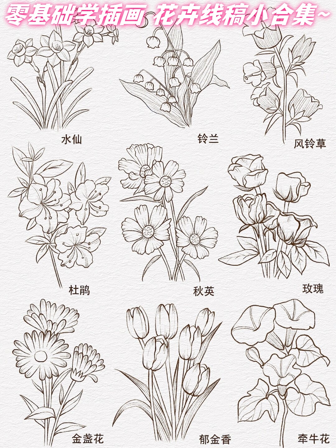 简单线稿入门教程图片