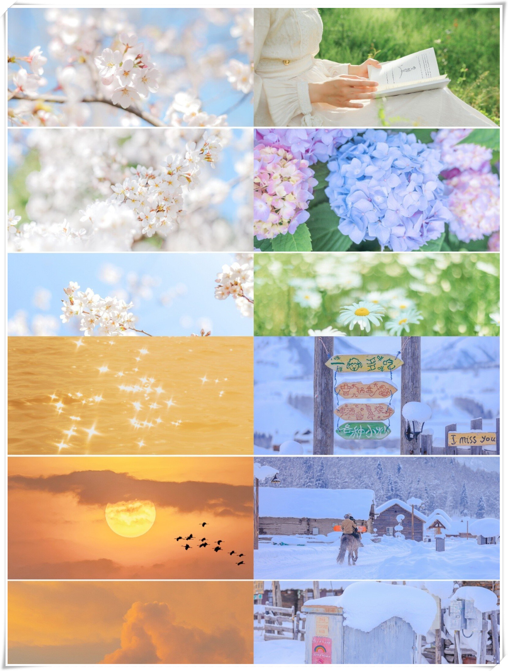 盛世美景,四季轮转,时光变迁皆可记录  春华秋实,夏蝉冬雪,大自然的每