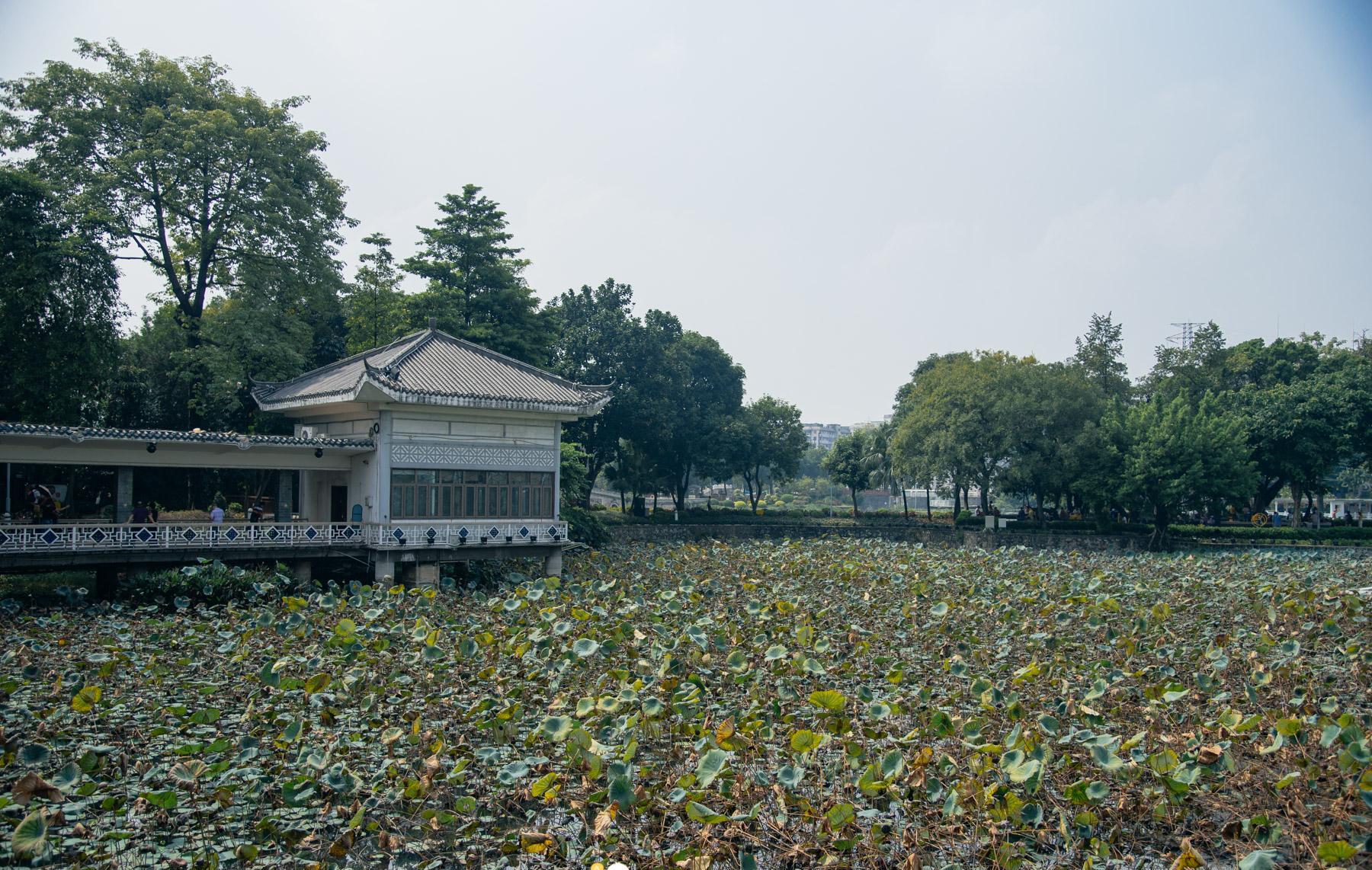 广州荔湾湖公园:64年前由群众义务开凿而成,今成市民休闲好去处