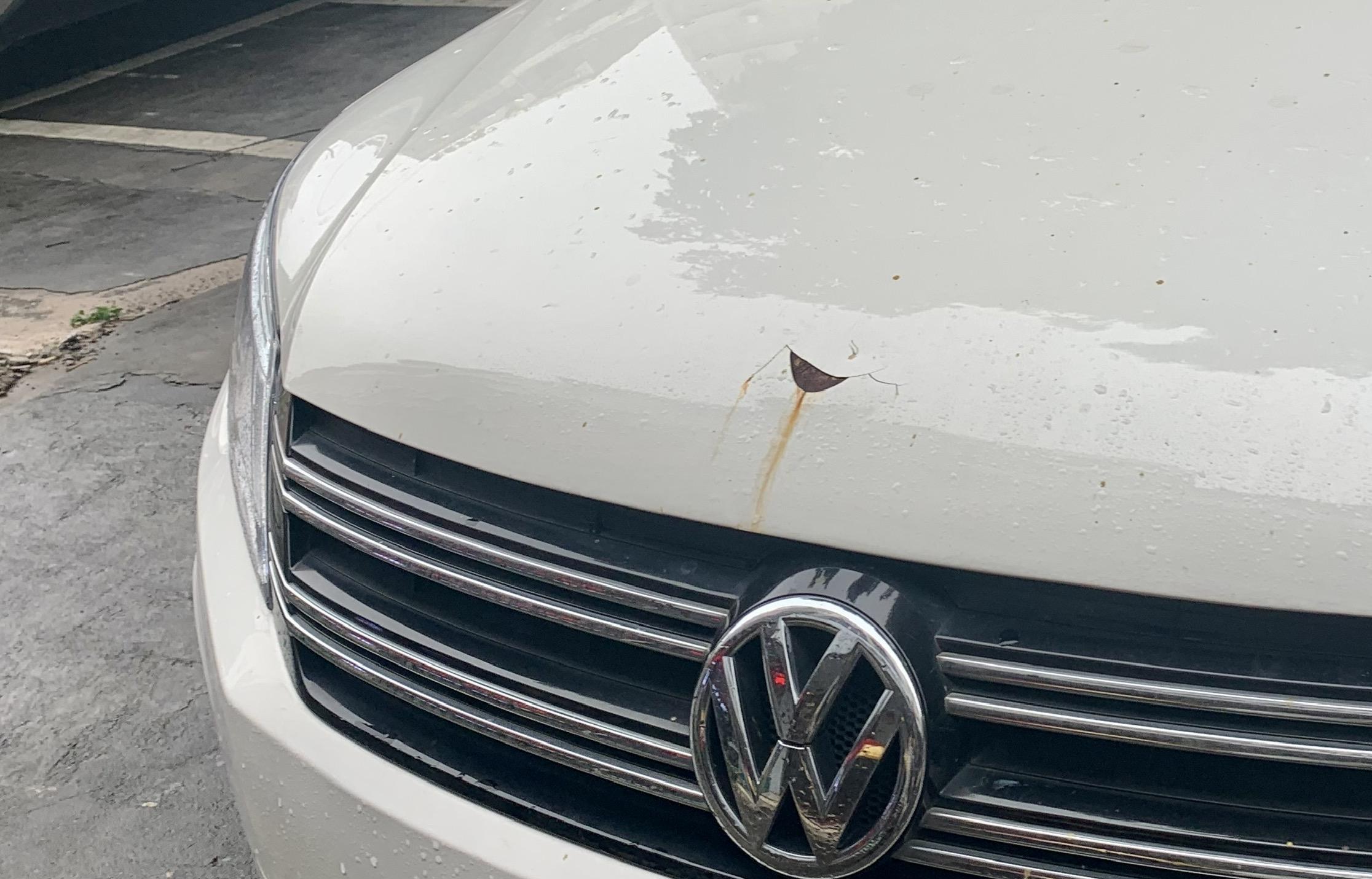 开了12年车才明白,新车没两年车漆就老化,都是这些原因造成的