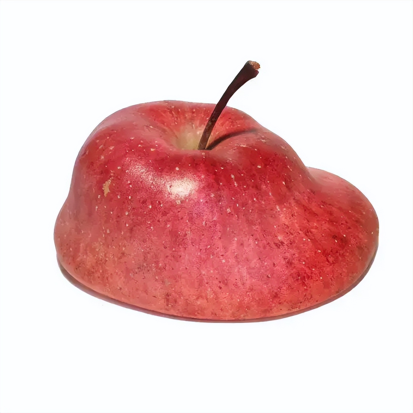 白底简约创意头像分享