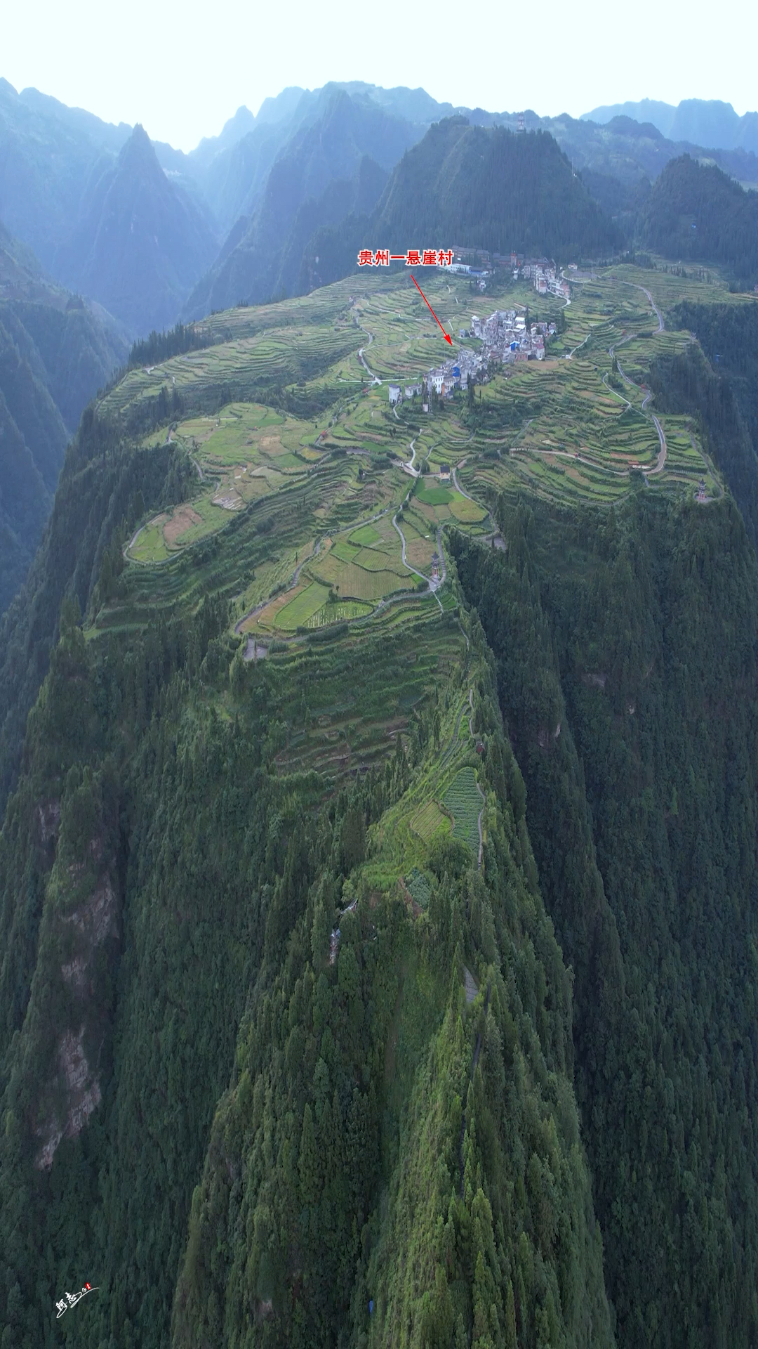 贵州有一个悬崖村,住着310户人家,三面都是悬崖,太漂亮了