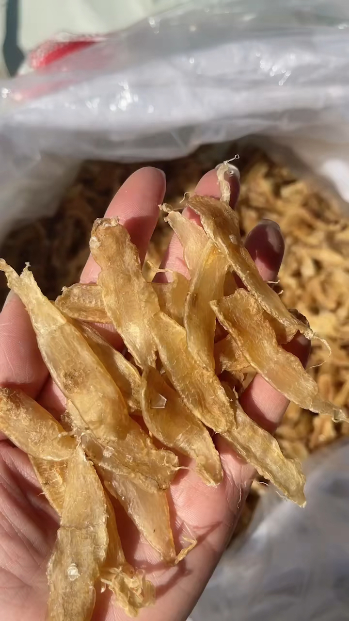 活动318小小泡发率高,小鱼胶,大营养