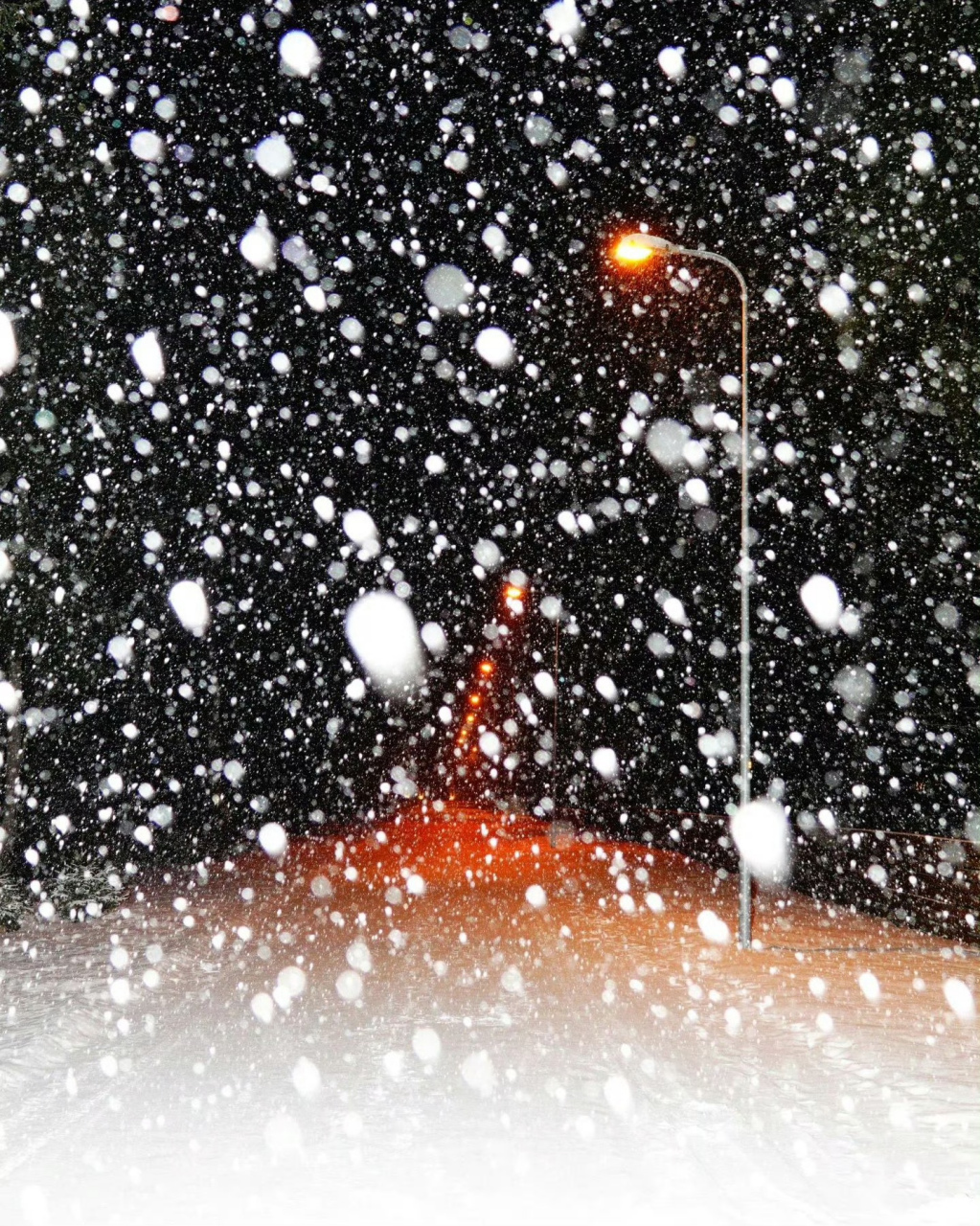 雪花飞[雪花]雪花飘[雪花]雪花绣成诗[雪花][雪花][雪花]