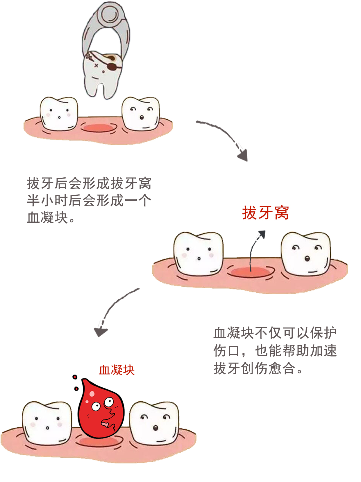 包含积水潭医院老年人看病代挂号出院后健康叮嘱，居家康复更放心的词条