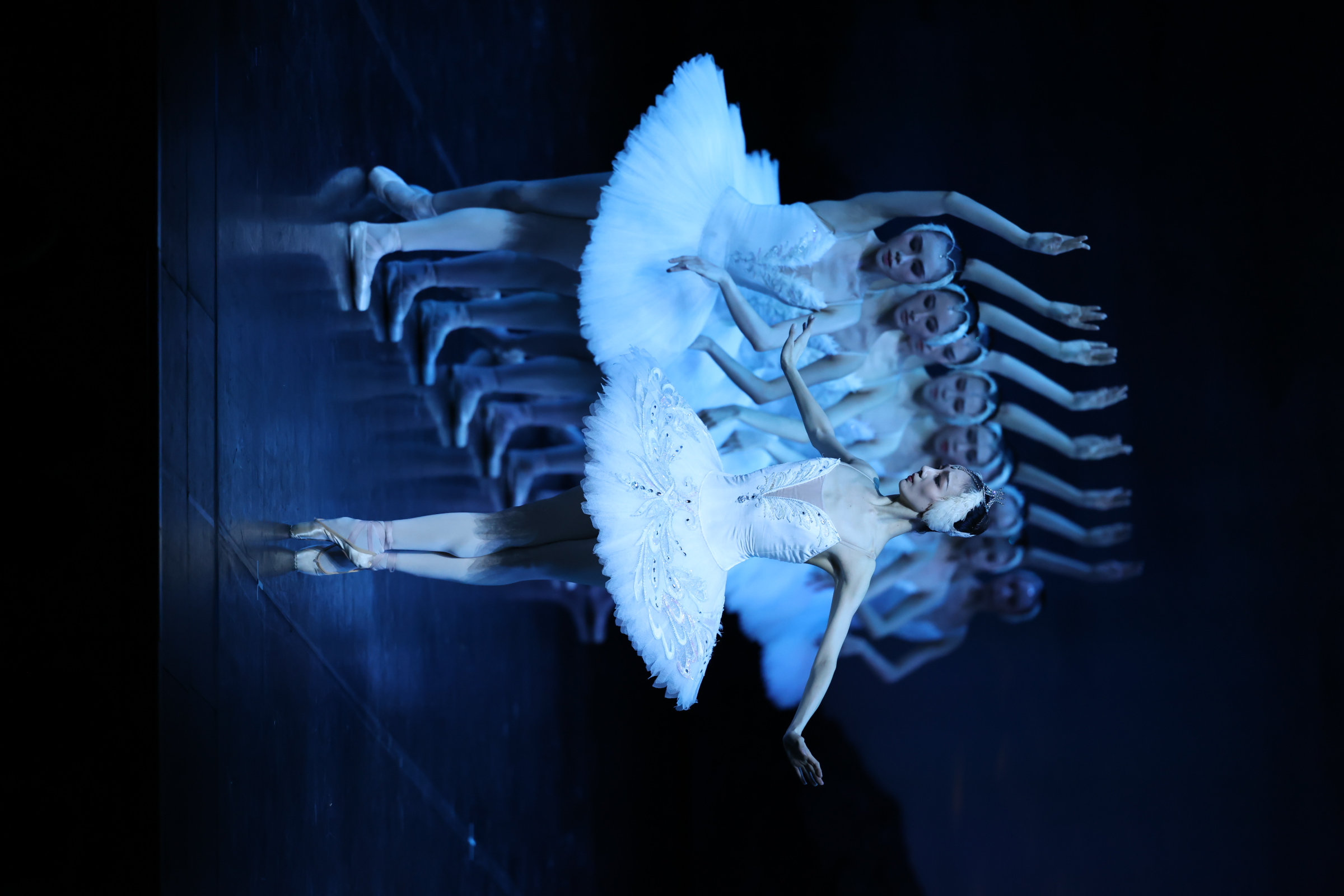 绝美《天鹅湖》飞临维多利亚港 2024"国风国韵飘香江"系列文化活动