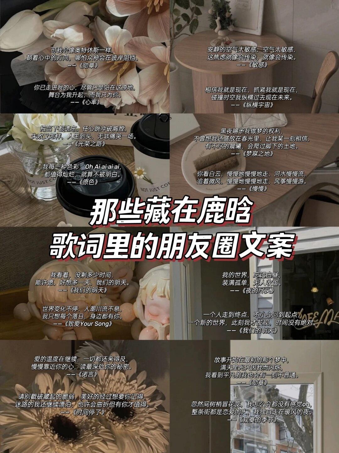 友善音乐分享的动态