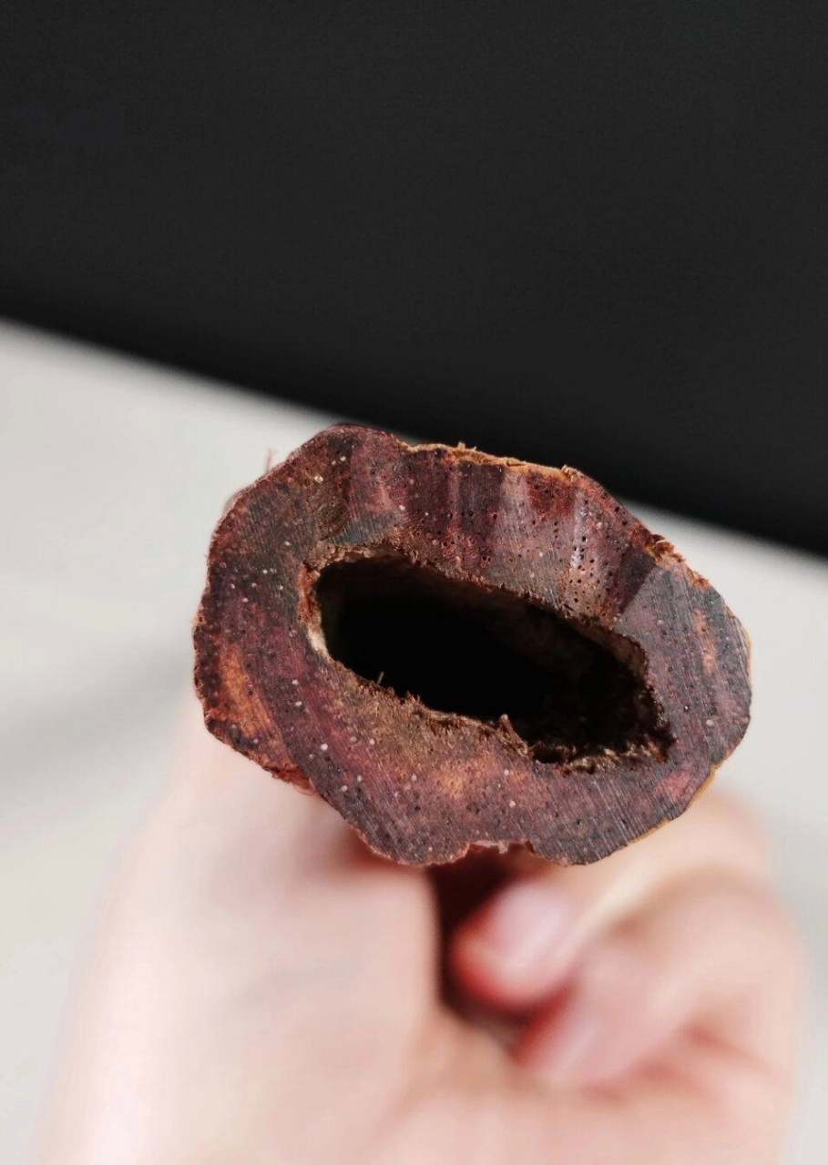 海南大叶降真香帝王香摆件  海南降真香需要五十年以上的时间才能结香