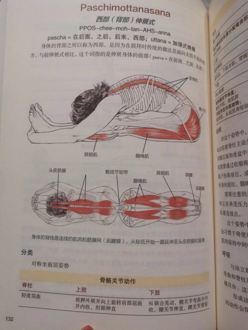 臀腿拉伸动作图片