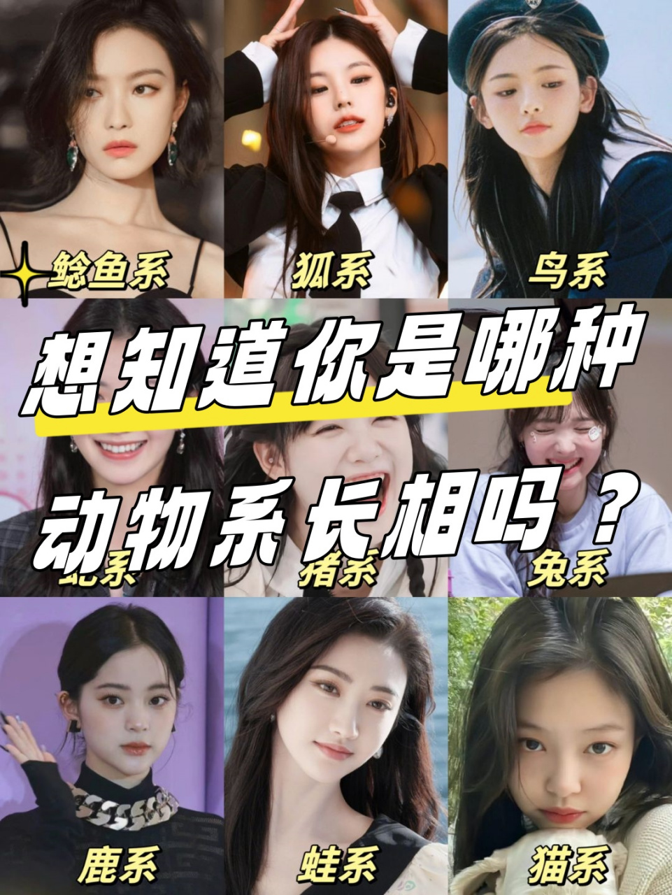 鲶鱼系长相:舒淇,姚晨,倪妮,林允,你们的长相给人一种高冷,知性的