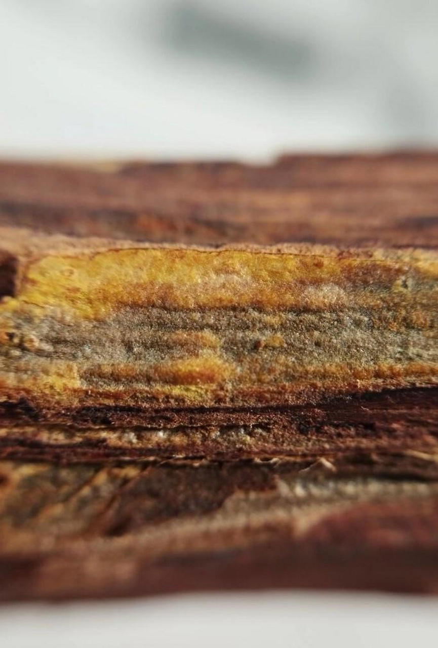 海南大叶降真香帝王香摆件  海南降真香需要五十年以上的时间才能结香