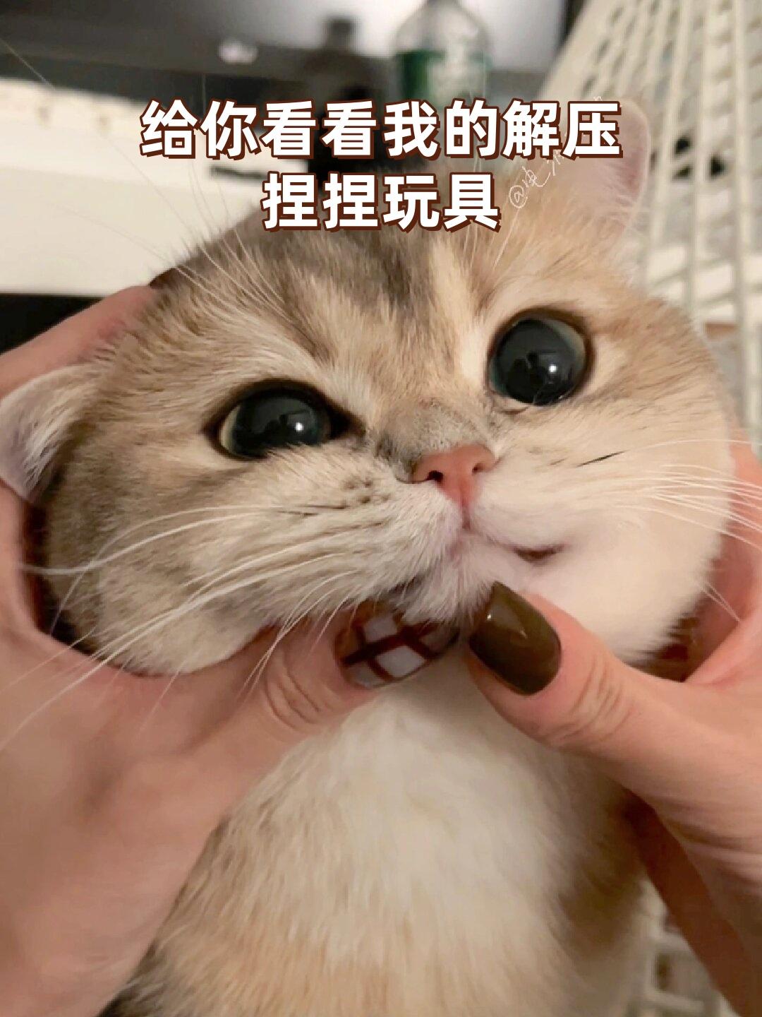 给你看看我的解压捏捏玩具