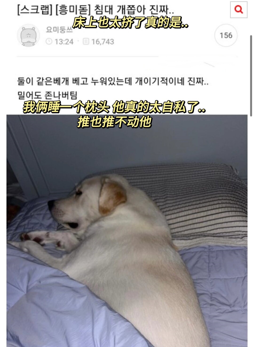 床上也太挤了真的是  搞笑图片