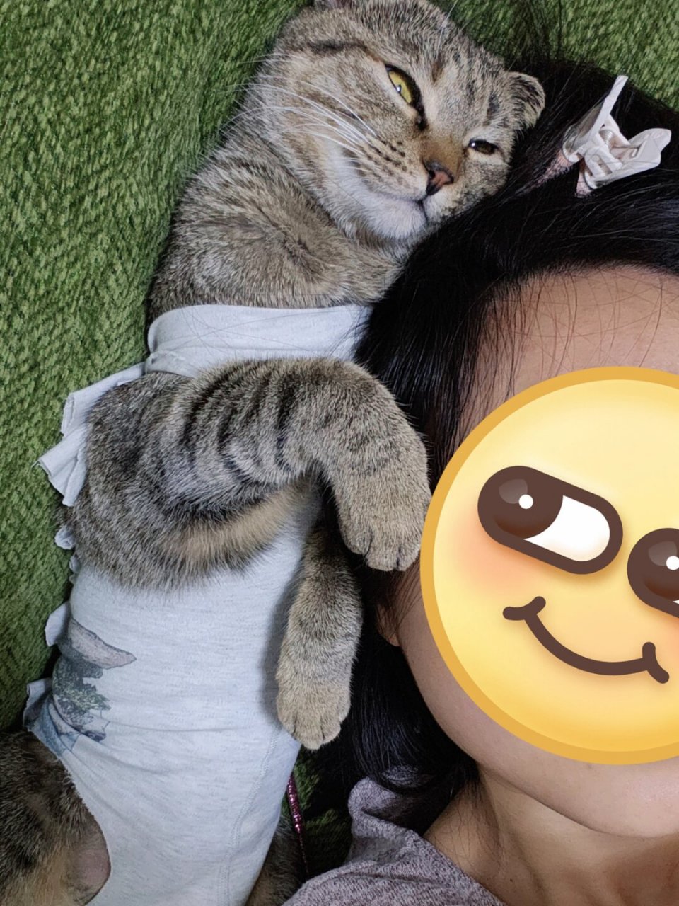 小猫咪绝育后好粘人我好开心啊啊啊  小猫咪绝育后变得特别粘人,我真