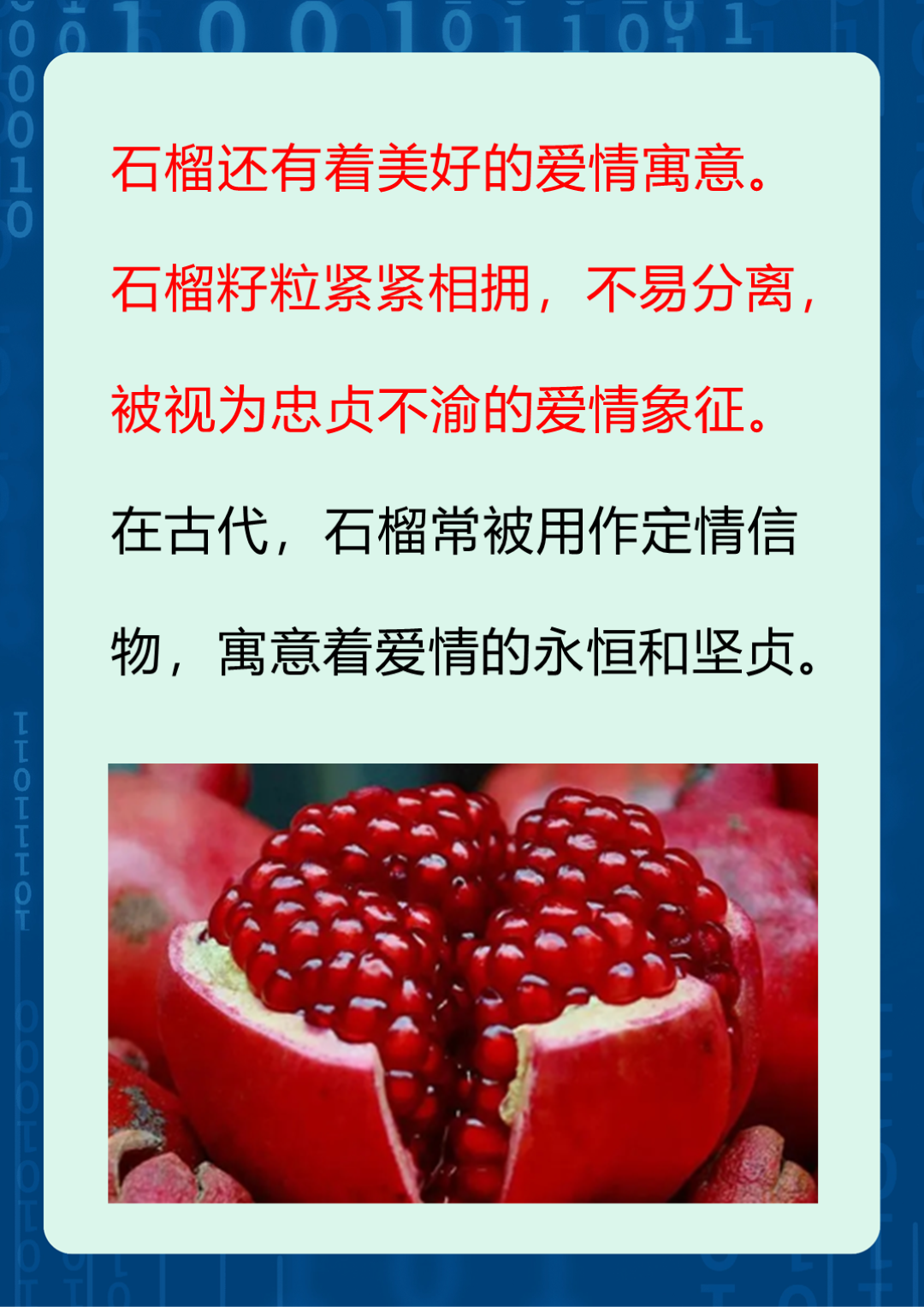 石榴寓意着吉祥,繁荣,富贵,也象征着爱情,健康和长寿.