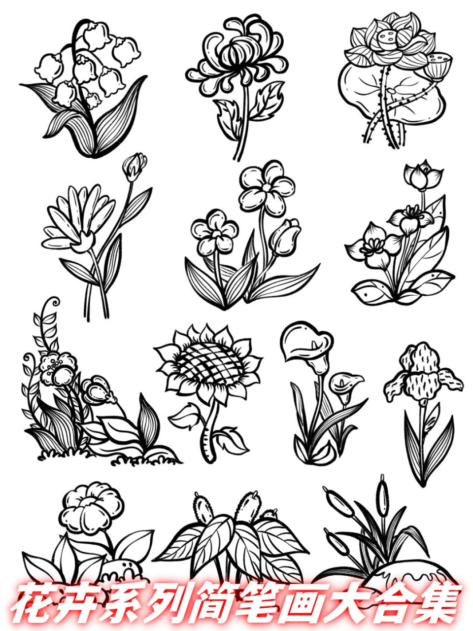 花卉系列简笔画大合集  花卉素材控笔练习:探索自然之美  在艺术创作