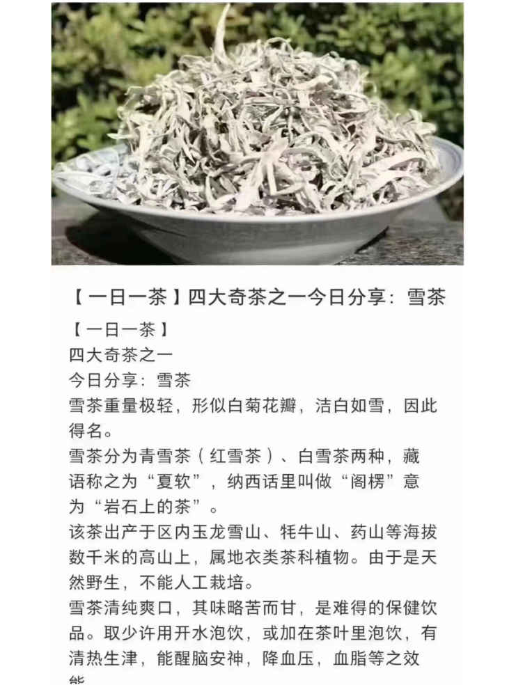 白雪茶,顾名思义,是一种外观洁白如雪的茶叶.