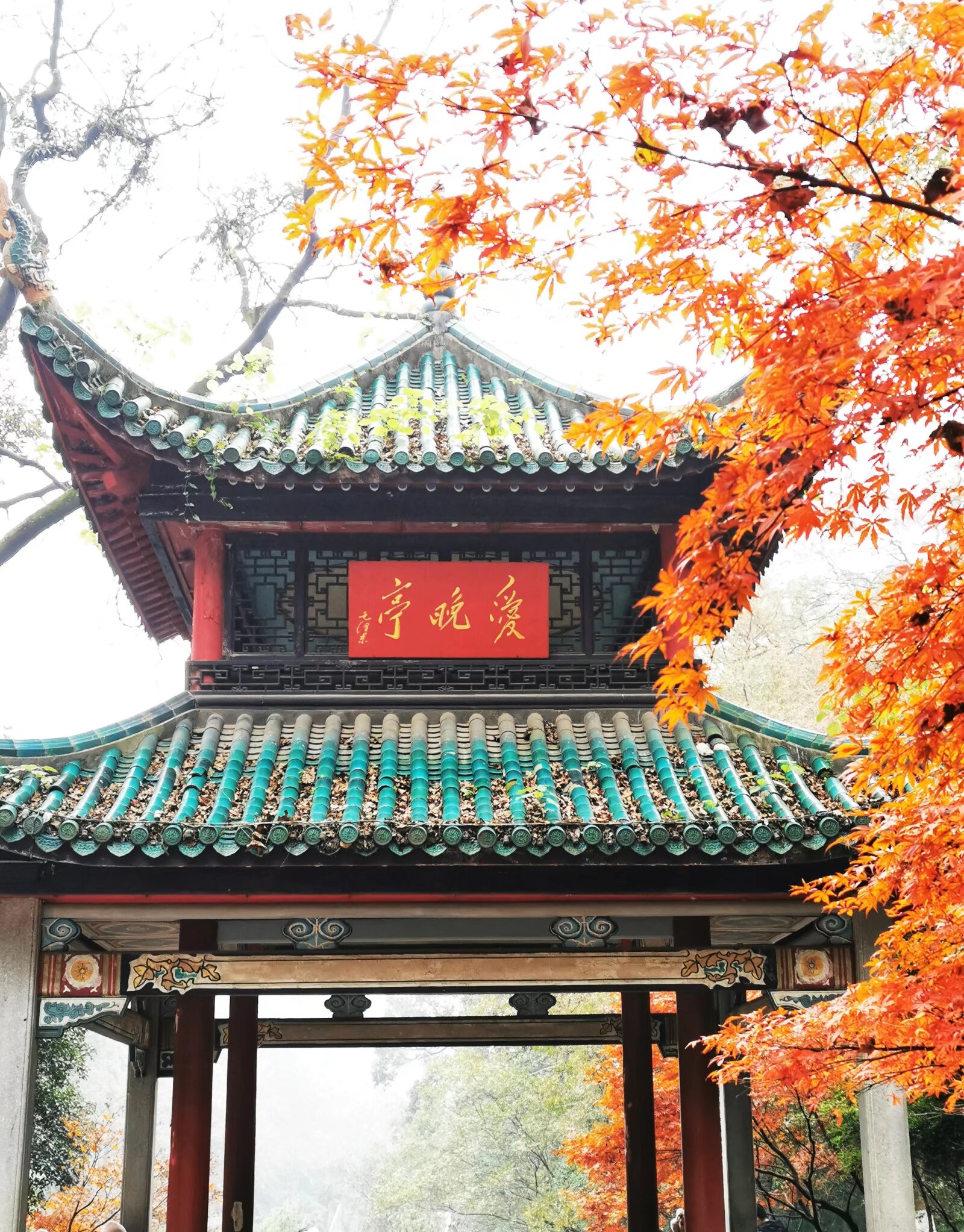 岳麓山徒步上山要多久