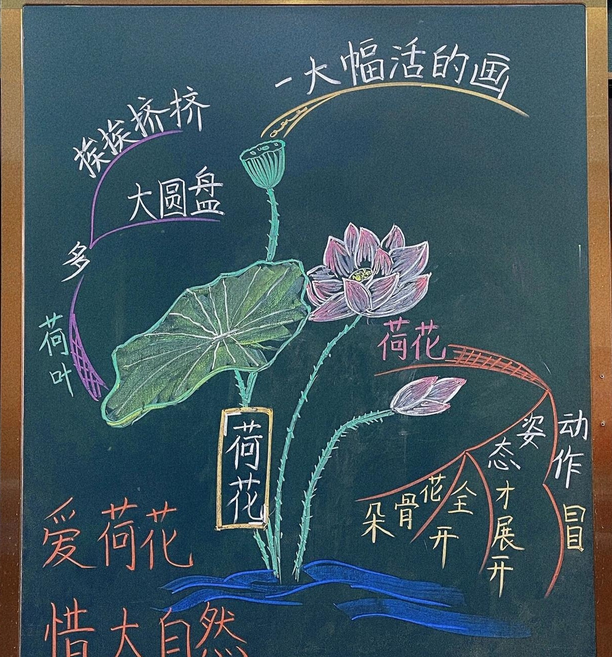 荷花板书设计一等奖图片