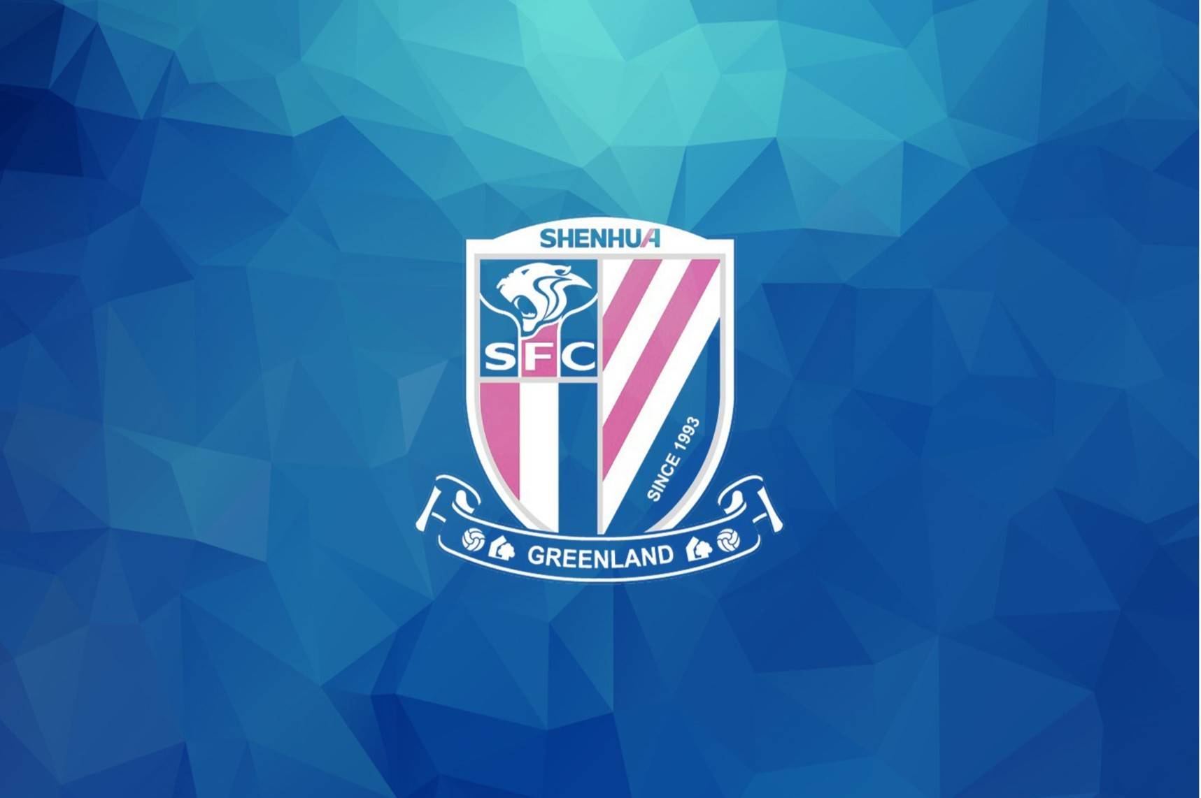 如何进上海申花足球队