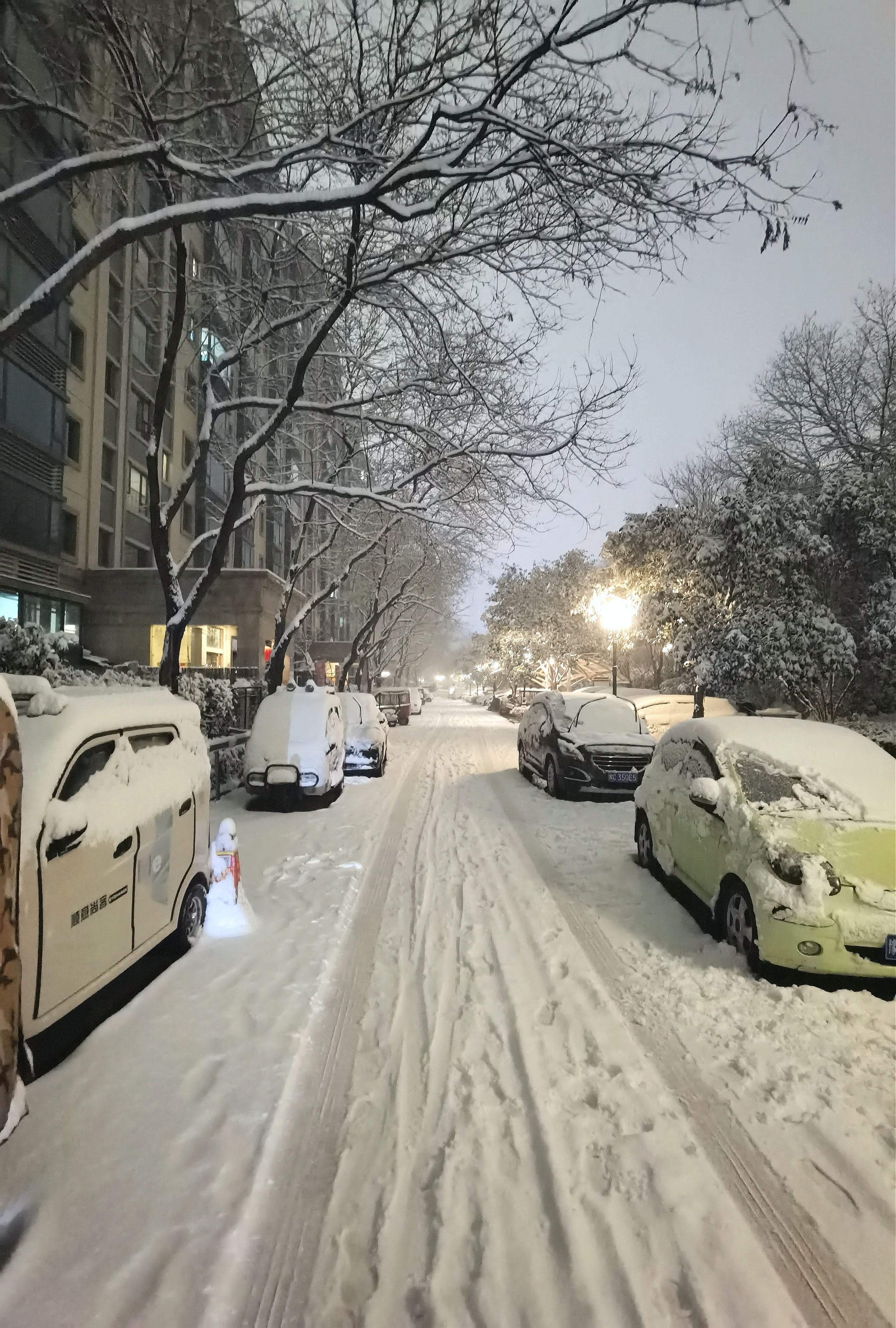 下雪夜景 大街图片