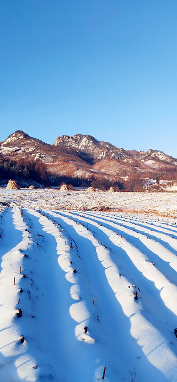 振兴新突破辽宁杠杠滴# #美好辽宁欢迎您# 乡村雪景如画